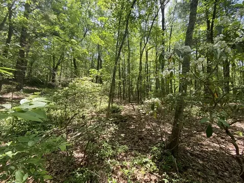 91 Burbank Rd #LOT 1, Sutton, MA 01590 photo 6