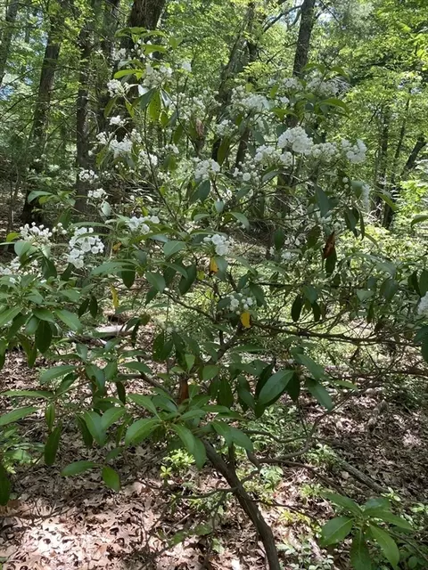 91 Burbank Rd #LOT 1, Sutton, MA 01590 photo 12