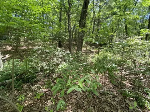 91 Burbank Rd #LOT 1, Sutton, MA 01590 photo 4