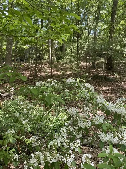 91 Burbank Rd #LOT 1, Sutton, MA 01590 photo 10