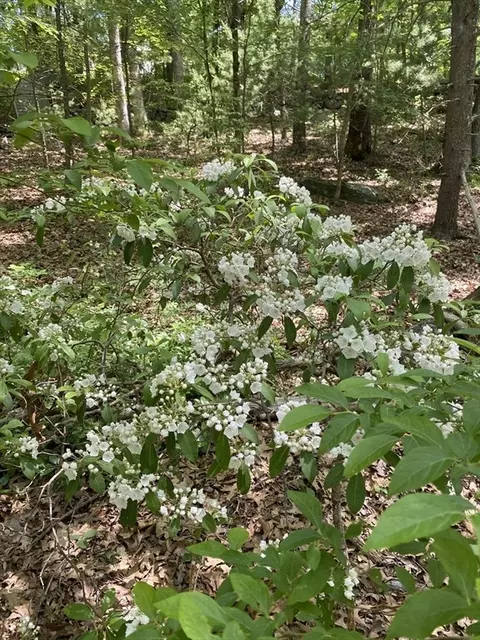 91 Burbank Rd #LOT 1, Sutton, MA 01590 photo 11