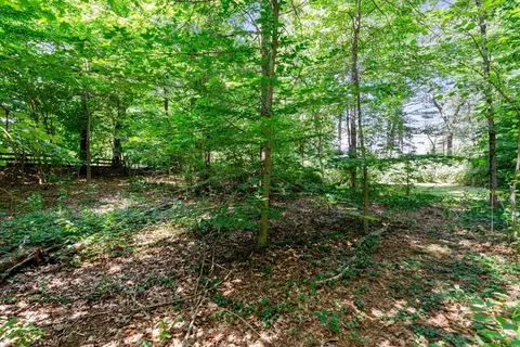 15 Forest, Millis, MA 02054 photo 34