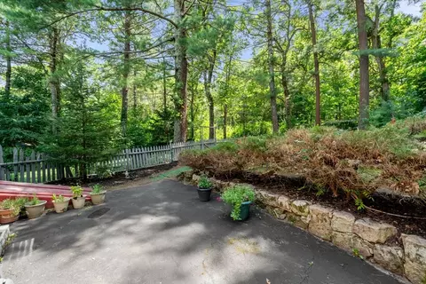 15 Forest, Millis, MA 02054 photo 33