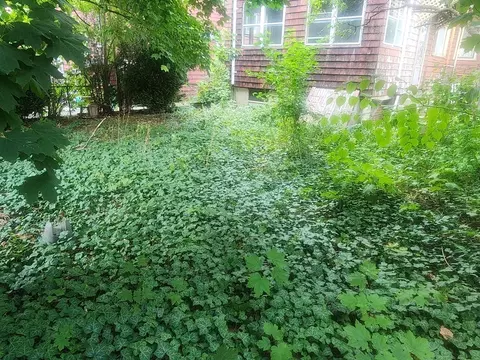 Exterior - 10 Pearl St, Everett, MA 02149 photo 8 of 10