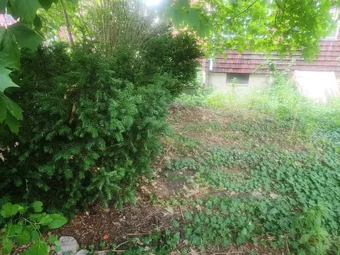 Exterior - 10 Pearl St, Everett, MA 02149 photo 7 of 10