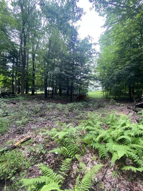 5 Waterfall Dr, Heath, MA 01346 photo 9