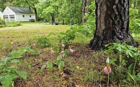 723 Ryan Rd, Northampton, MA 01062 photo 9