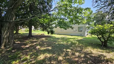 45 Wallace St, Springfield, MA 01119 photo 23