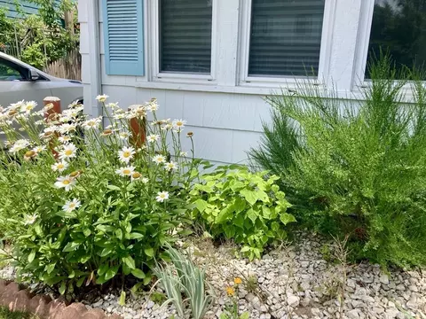19 Eton St, Springfield, MA 01108 photo 3