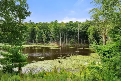 View/Area - 10 Wilsons Way, Dover, MA 02030 photo 2 of 3