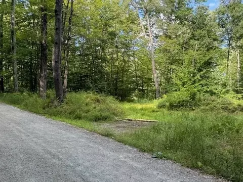 lot119 Davis Mine Rd, Rowe, MA 01367
