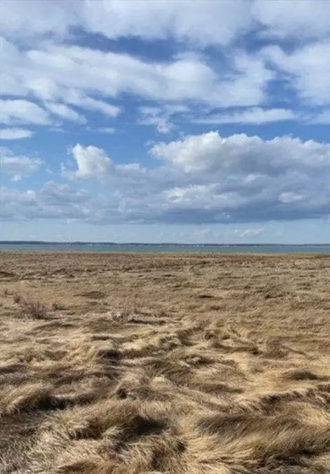 0 Saquish Beach Blvd #LOT 388, Plymouth, MA 02360