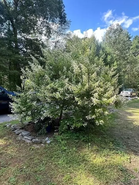 99 Old Poor Farm Rd, Ware, MA 01082 photo 8