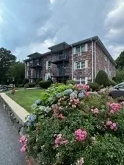19 Pine St #E, Canton, MA 02021 photo 10