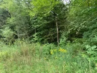 0 N Blandford, Otis, MA 01253