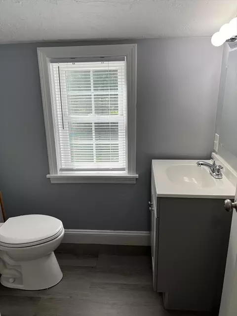 Bath - 30 Lumae St, Springfield, MA 01119 photo 4 of 4