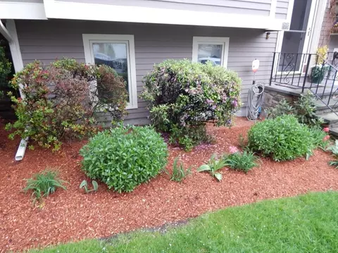 Exterior - 16 Ida Rd, Worcester, MA 01604 photo 12 of 12