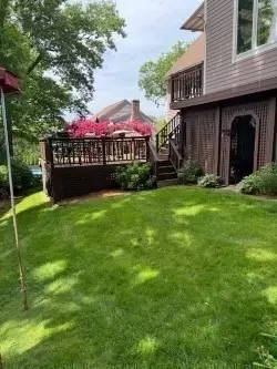Exterior - 16 Ida Rd, Worcester, MA 01604 photo 11 of 12