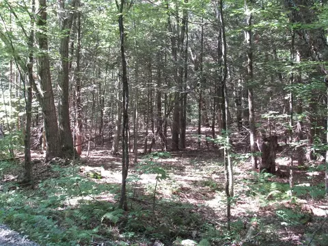 006 Round Hl, Chester, MA 01011
