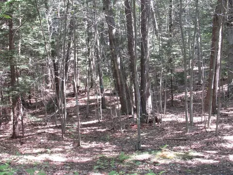 0065 Round Hl, Chester, MA 01011