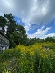 274 E Main St, Plainfield, MA 01070 photo 29