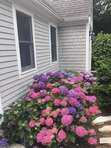 750 Old Barnstable Rd, Mashpee, MA 02649 photo 32