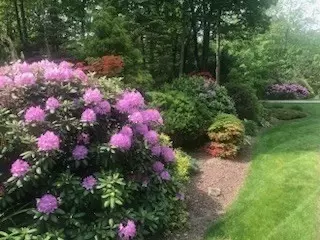 24 Plumbley Rd, Upton, MA 01568 photo 5