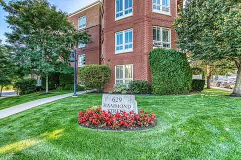 629 Hammond St #E115, Chestnut Hill, MA 02467