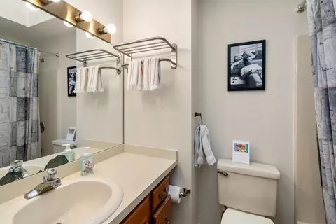 29 Anthony Ln, Dedham, MA 02026 photo 14