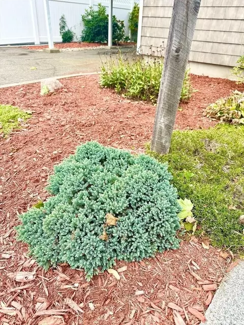 81 Range Ave, Lynn, MA 01904 photo 4