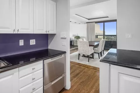 65 E India Row #PHC, Boston, MA 02110 photo 11