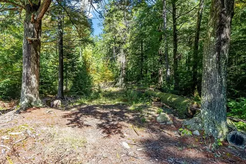 Exterior - 76 Ferin Rd, Ashburnham, MA 01430 photo 7 of 9