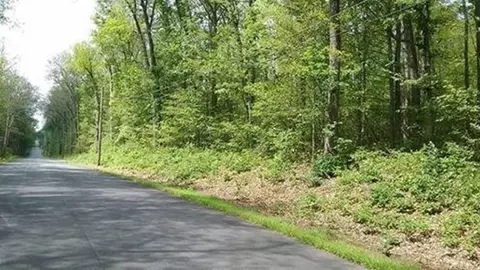 Xoxo Mihaliak Rd, Willington, CT 06279