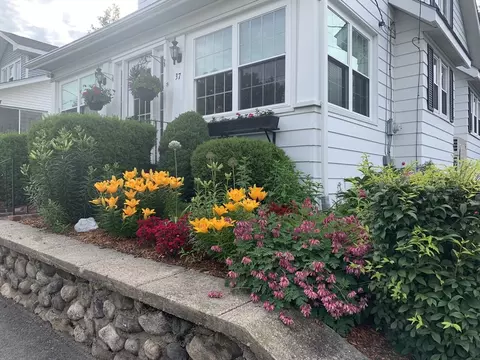 Other - 37 Rollinson Rd, Worcester, MA 01606 photo 5 of 5