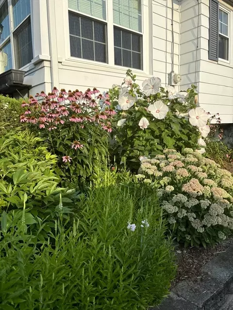 Exterior - 37 Rollinson Rd, Worcester, MA 01606 photo 15 of 15
