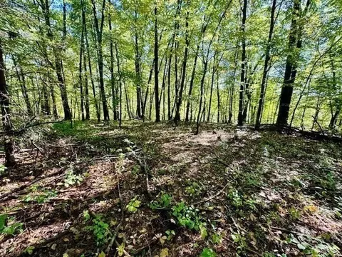 0 Long Plain Rd, Whately, MA 01093 photo 12