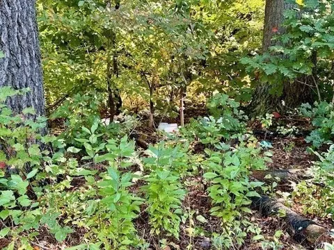 0 Long Plain Rd, Whately, MA 01093 photo 8