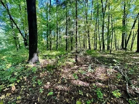 0 Long Plain Rd, Whately, MA 01093 photo 10