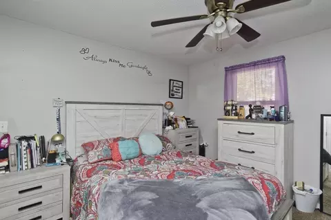 33 Coleman St, Springfield, MA 01109 photo 12