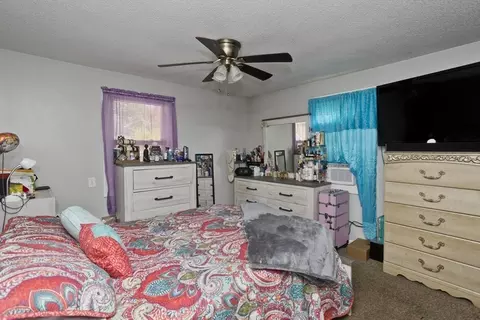 33 Coleman St, Springfield, MA 01109 photo 11