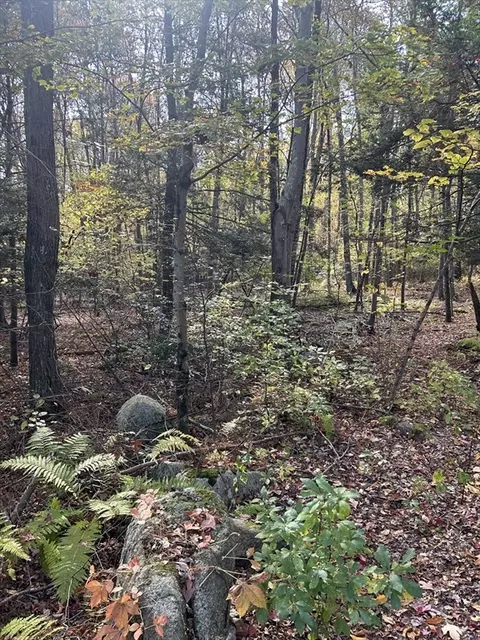 60-64 Chestnut St, Douglas, MA 01516