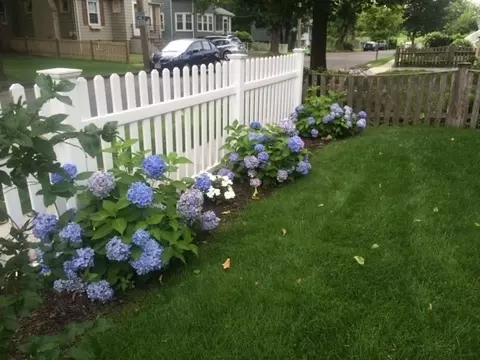 17 Berkeley St, Arlington, MA 02474 photo 41