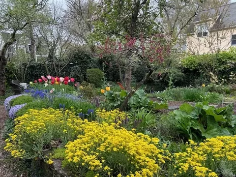65 Dane St, Somerville, MA 02143 photo 22