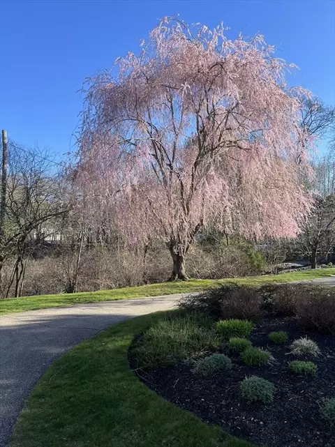 18 Westfield St, Dedham, MA 02026 photo 38