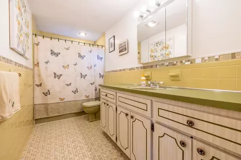 33 Pine Ave, Randolph, MA 02368 photo 22