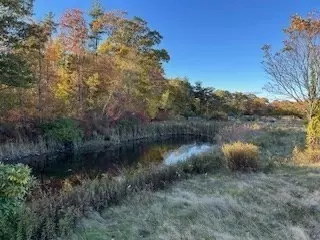 View/Area - 37 Smith Rd, Warwick, MA 01378 photo 2 of 2