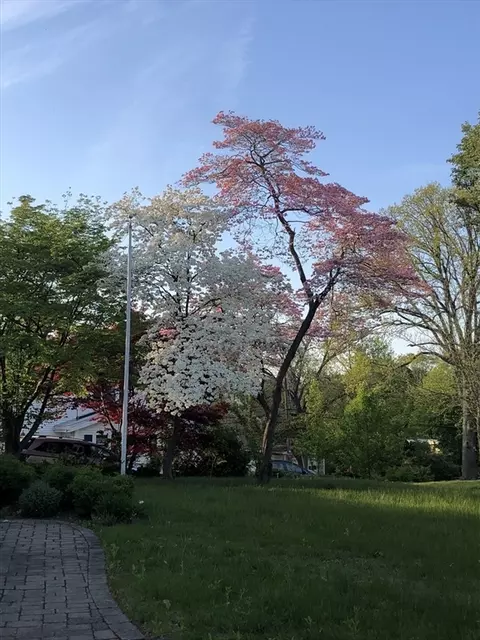 148 Bancroft Ave, Reading, MA 01867 photo 33