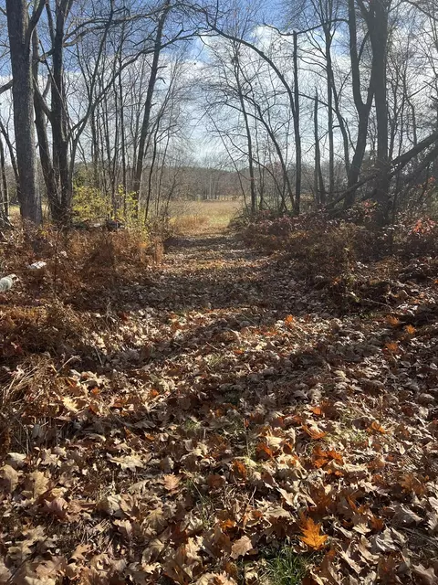 lot7 N Liberty St, Belchertown, MA 01007