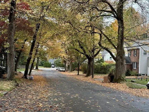 27 Ogden Rd, Brookline, MA 02467 photo 29