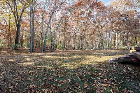 41 Gilbert Rd, Needham, MA 02492 photo 4